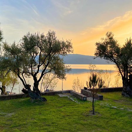 Seafront Traditional Stone House In Sunset Olive Grove - B Alyfanta Dış mekan fotoğraf