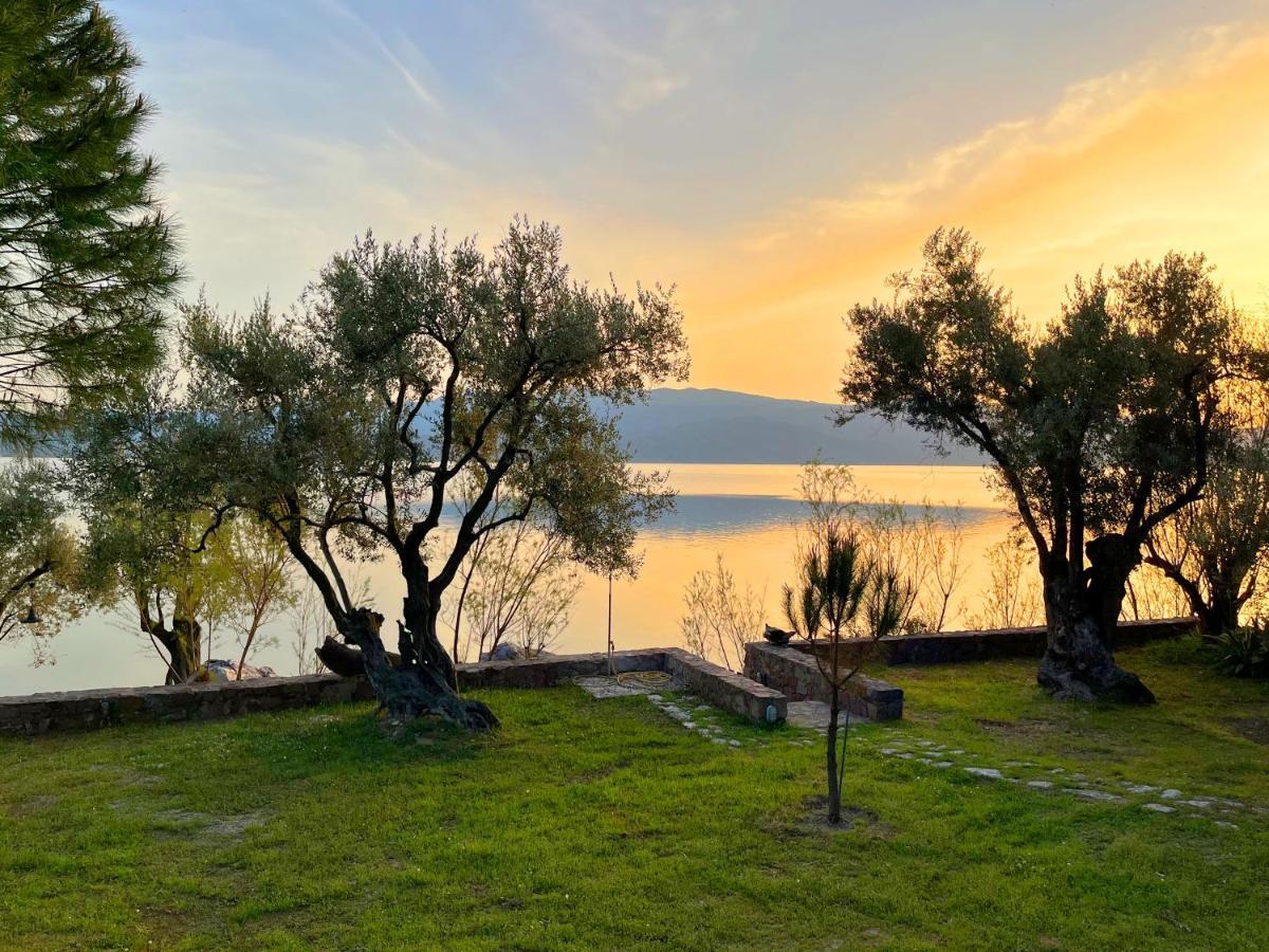 Seafront Traditional Stone House In Sunset Olive Grove - B Alyfanta Dış mekan fotoğraf