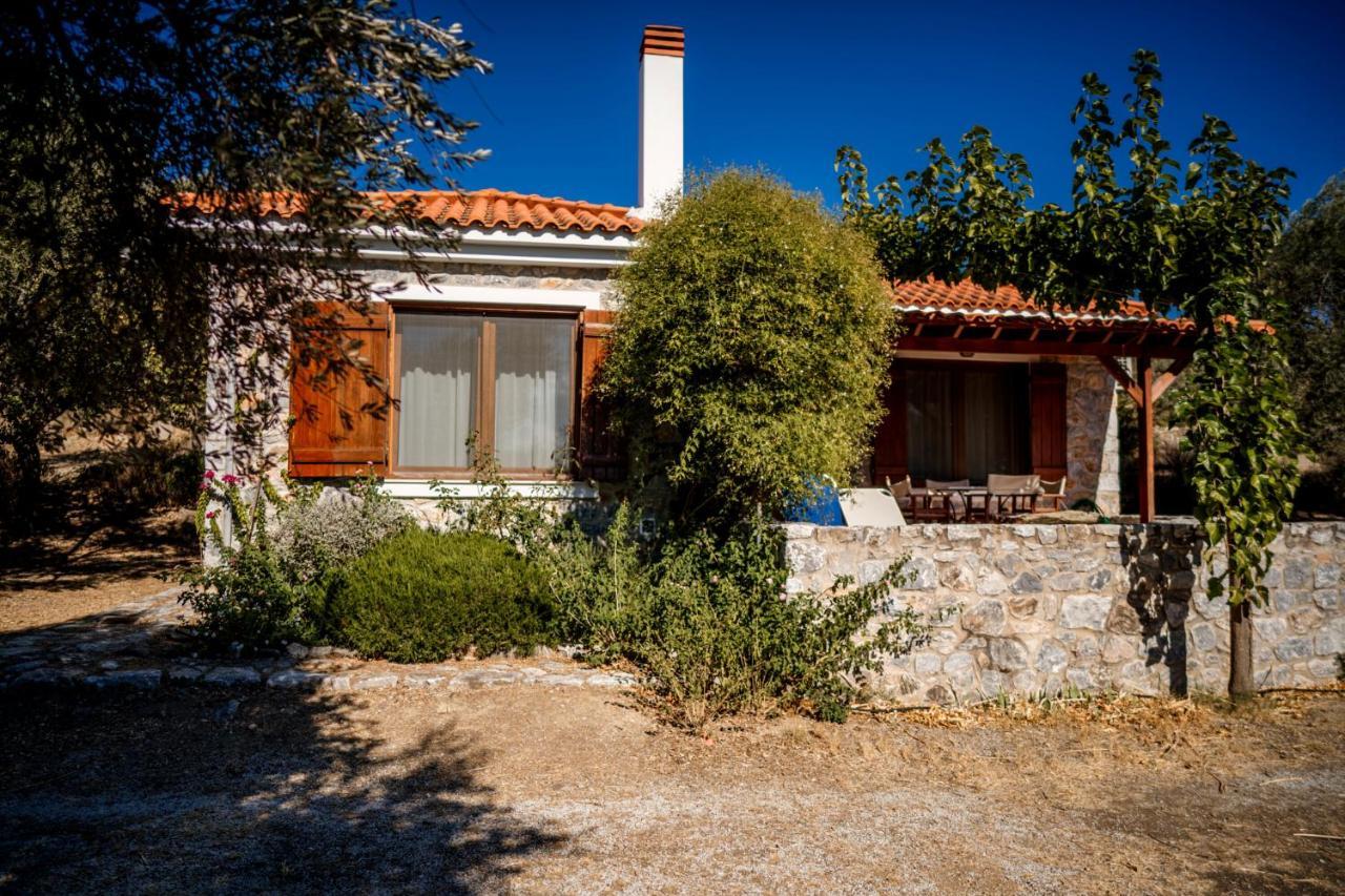 Seafront Traditional Stone House In Sunset Olive Grove - B Alyfanta Dış mekan fotoğraf