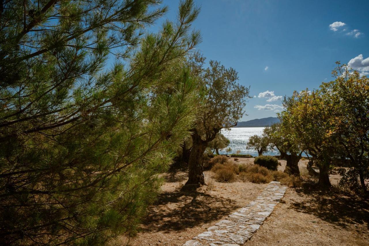 Seafront Traditional Stone House In Sunset Olive Grove - B Villa Alyfanta Dış mekan fotoğraf