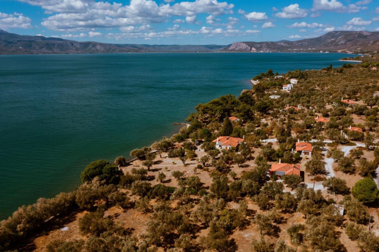 Seafront Traditional Stone House In Sunset Olive Grove - B Villa Alyfanta Dış mekan fotoğraf