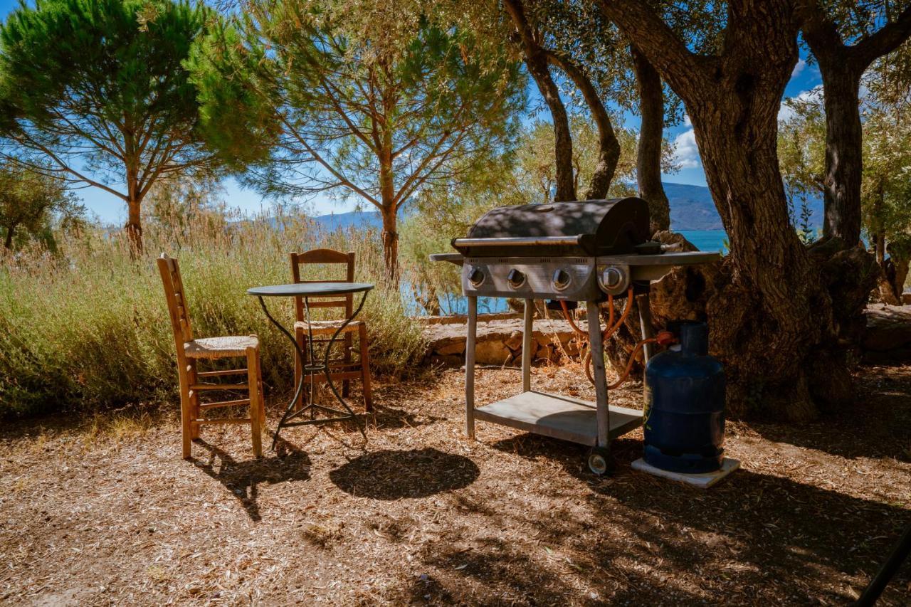 Seafront Traditional Stone House In Sunset Olive Grove - B Alyfanta Dış mekan fotoğraf